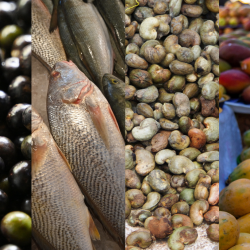 Em resposta a tarifaço, governo federal vai comprar alimentos que seriam vendidos aos EUA