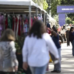 Desemprego no trimestre cai para menor taxa da série histórica