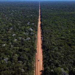 Congresso derruba 52 vetos à Lei Geral do Licenciamento Ambiental