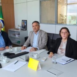 Em reunião, MGI garante que anteprojeto de reorganização da carreira será finalizado até fevereiro de 2026