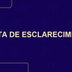 Sindifisco não propõe a criação de um imposto sobre o agronegócio