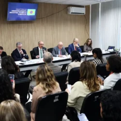 Setores atingidos por tarifaço dos EUA terão novo plano de socorro