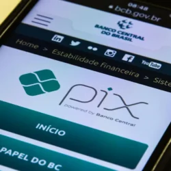 Esperamos que o governo brasileiro seja firme na defesa do Pix, diz economista