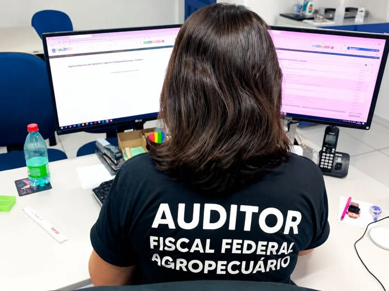 Após solicitação do Anffa Sindical, Mapa adota medidas emergenciais para conter lentidão crônica no SIGSIF
