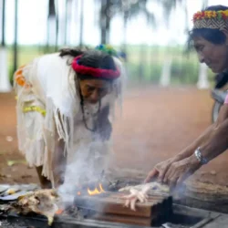 Indígenas de MS denunciam casos de violência e ameaças após eleição